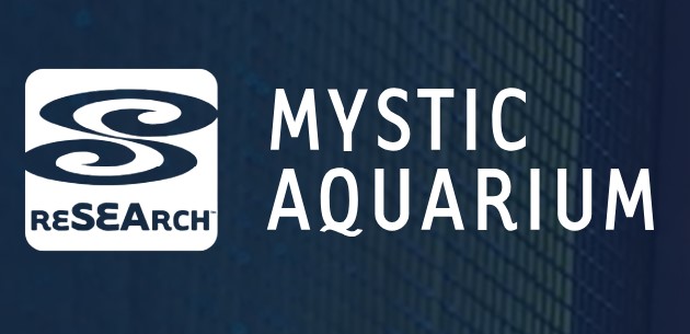Mystic Aquarium