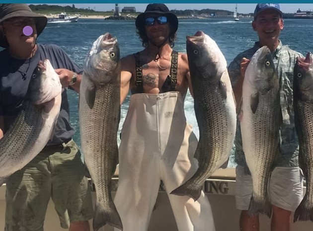 Osprey Sport Fishing Charters in Groton